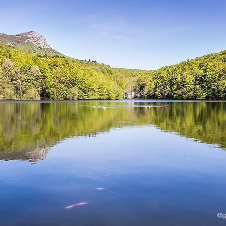 Hostal L'Avet Blau Vandrerhjem Santa Fe de Montseny Eksteriør bilde