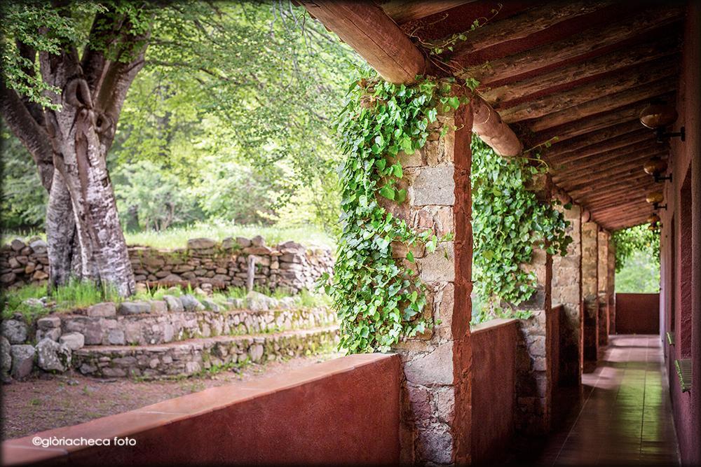 Hostal L'Avet Blau Vandrerhjem Santa Fe de Montseny Eksteriør bilde