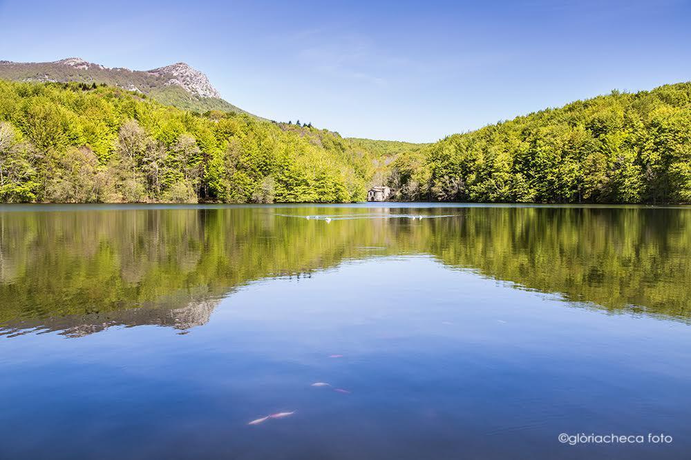 Hostal L'Avet Blau Vandrerhjem Santa Fe de Montseny Eksteriør bilde