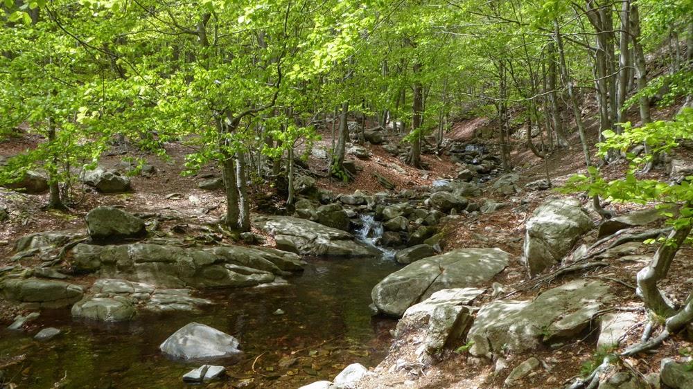 Hostal L'Avet Blau Vandrerhjem Santa Fe de Montseny Eksteriør bilde