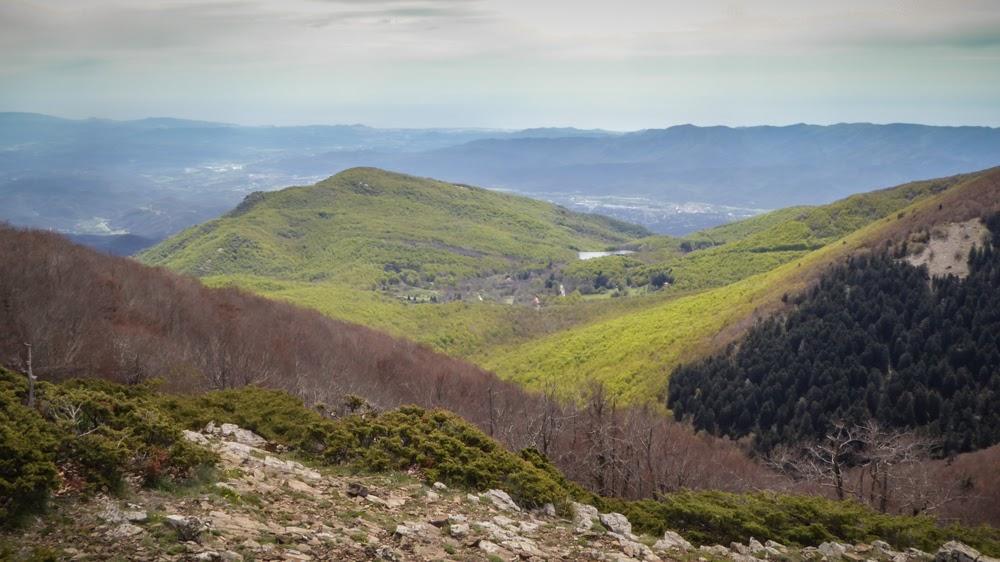 Hostal L'Avet Blau Vandrerhjem Santa Fe de Montseny Eksteriør bilde